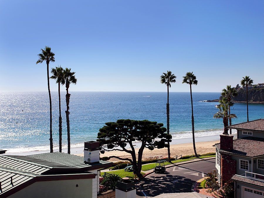 Tall palms against the bay and a sunlit beach below